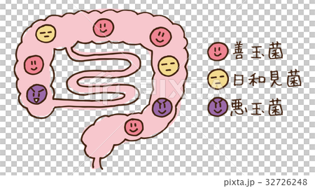 Illustration of enterobacteria 32726248