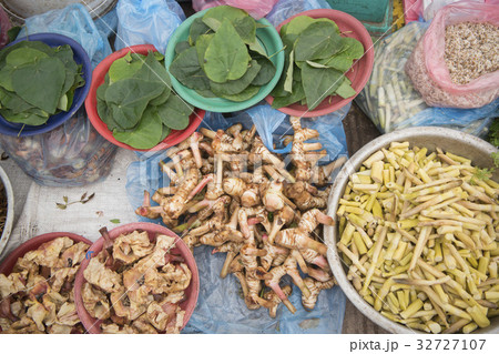 LAOS VIENTIANE TALAT SAO MARKET FEGETABLE 32727107