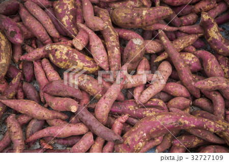LAOS VIENTIANE TALAT SAO MARKET POTATO 32727109