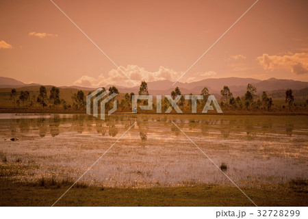LAO PHONSAVAN LANDSCAPE AGRICULTURE 32728299
