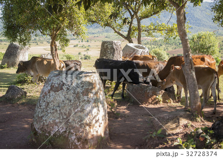 LAO PHONSAVAN PLAIN OF JARS 32728374
