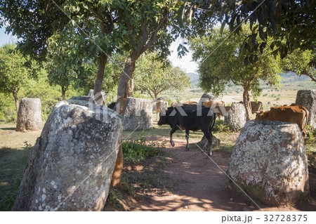 LAO PHONSAVAN PLAIN OF JARS 32728375