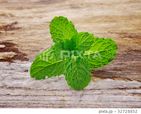 Fresh mint on wooden background 32728852