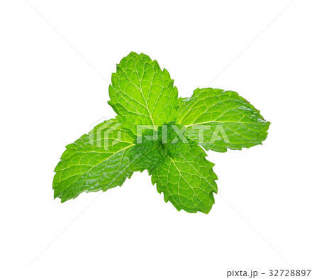 Fresh raw mint leaves isolated on white background 32728897