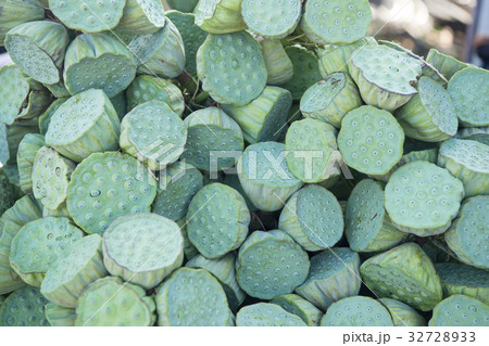 THAILAND ISAN UDON THANI LOTUS FOOD FEGETABLE 32728933