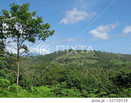 Tree, meadows and mountains in the Costa Rica 32730530
