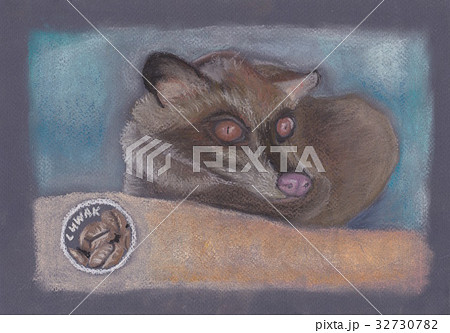 Pastel Drawn Illustration for Kopi luwak or Civet Coffee promotion.  Asian palm civet or toddy cat. 32730782
