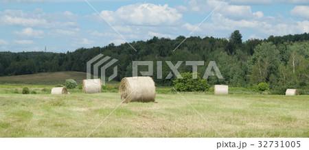 farm hay bales country field meadow landscape farm hay bales country field meadow landscape 32731005