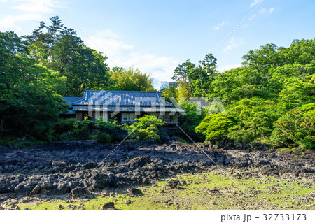 枯渇した楽寿園小浜池 枯渇した楽寿園小浜池 32733173