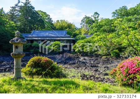 枯渇した楽寿園小浜池 枯渇した楽寿園小浜池 32733174