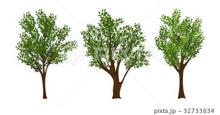 Vector trees set 32733834