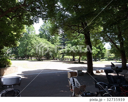 戸山公園 32735939