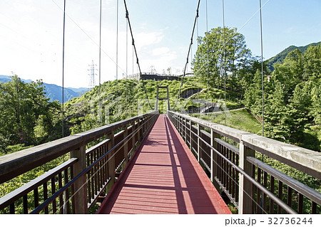 森の吊り橋(富士川クラフトパーク:身延町) 森の吊り橋(富士川クラフトパーク:身延町) 32736244