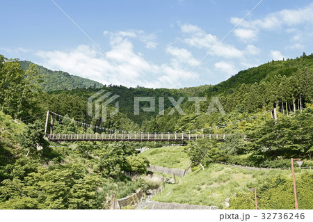 森の吊り橋（富士川クラフトパーク：身延町） 32736246