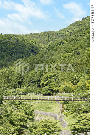 森の吊り橋（富士川クラフトパーク：身延町） 32736247