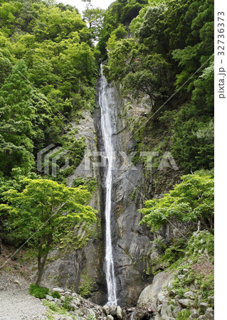 見神の滝(早川町) 見神の滝(早川町) 32736373