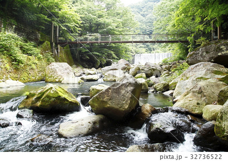 早川の桜橋（箱根町） 32736522