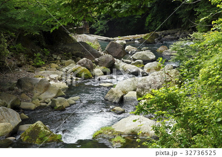 早川のながれ（箱根町） 32736525