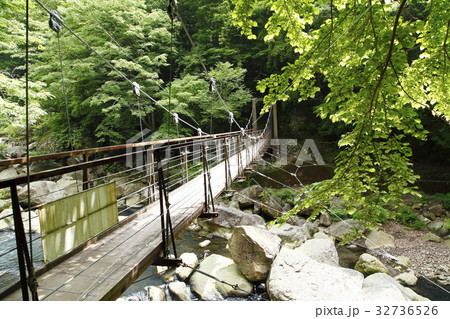 早川の桜橋(箱根町) 早川の桜橋(箱根町) 32736526