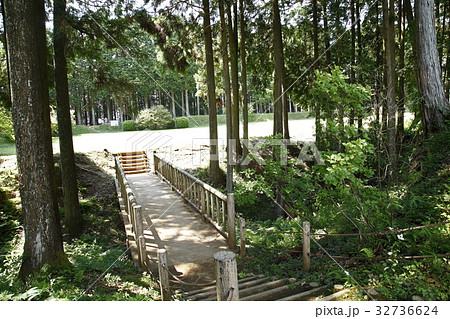 北の丸掛橋(史跡山中城址:三島市) 北の丸掛橋(史跡山中城址:三島市) 32736624