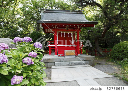 厳島神社（三嶋大社：三島市） 32736653