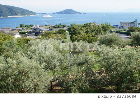 小豆島の風景　オリーブ公園からの風景 32736684