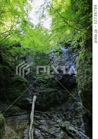 徳島県吉野川市　母衣暮路滝 32736799
