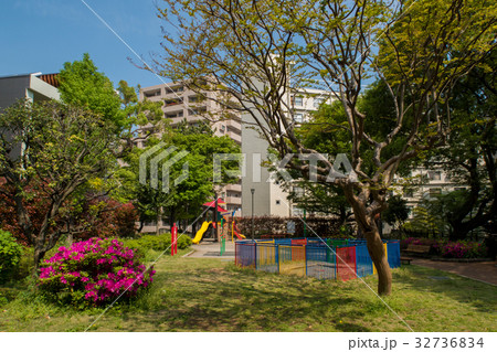 高輪の高松くすのき公園の風景 高輪の高松くすのき公園の風景 32736834
