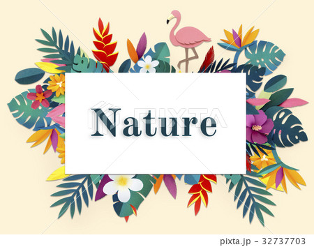 Fresh and beauriful flower for refreshing relaxation 32737703