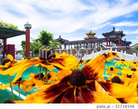 花と孔子公園 花と孔子公園 32738546