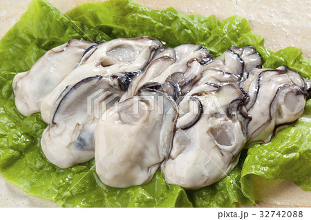 生牡蠣 32742088