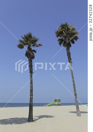 ベニスビーチ ベニスビーチ 32742328