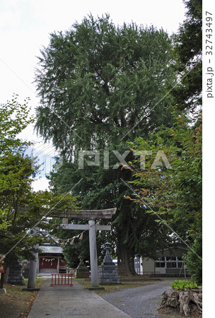 黒石散歩・稲荷神社 黒石散歩・稲荷神社 32743497