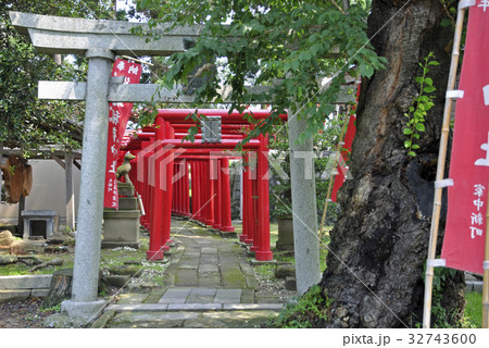 鶴岡公園　御城稲荷神社 32743600