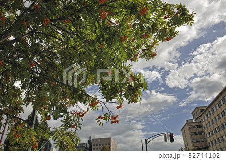 青森市内散歩・秋空 32744102