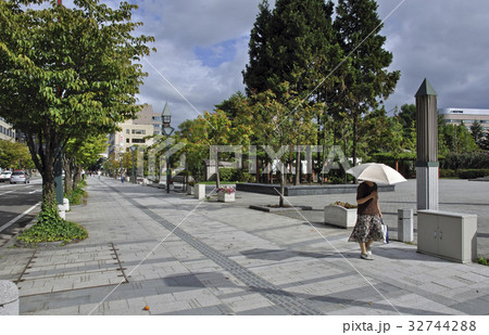 青森市内散歩・青い森公園 32744288