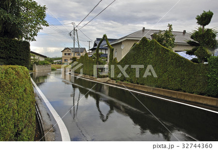 平川散歩・生け垣ロード 32744360