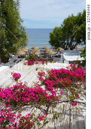 Building of hotel with Bougainvillea flowers Building of hotel with Bougainvillea flowers 32746444