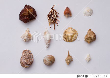 Seabed. 32748034
