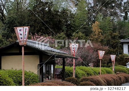 京都隋心院 32748217