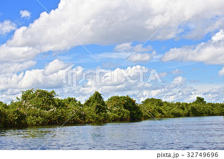 【ボリビア】パンタナールの風景 【ボリビア】パンタナールの風景 32749696