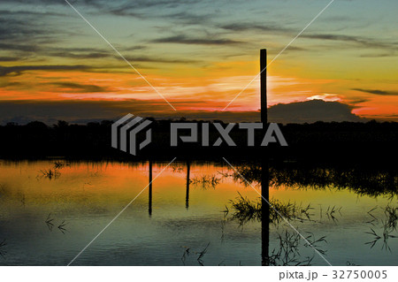 【ボリビア】パンタナールの夕焼け 【ボリビア】パンタナールの夕焼け 32750005