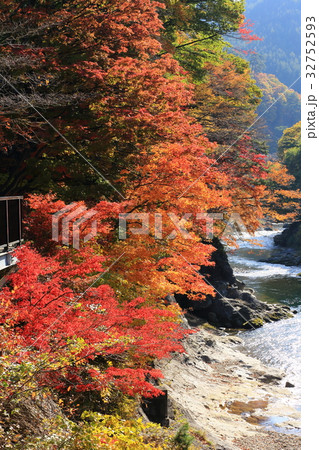 秋の印象　諏訪峡紅葉 32752593