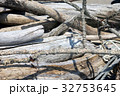 流れ着いた流木など 32753645