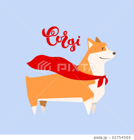 Vector dog corgi in hero cape. Breed inscription 32754503