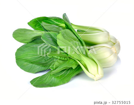 Bok choy (chinese cabbage) isolated on white 32755015