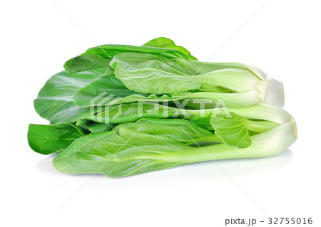 Bok choy (chinese cabbage) isolated on white 32755016