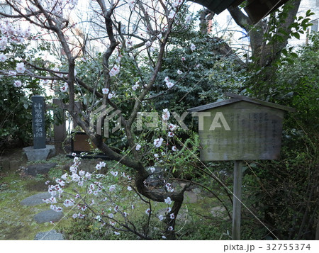芝大神宮 手水舎 芝大神宮 手水舎 32755374