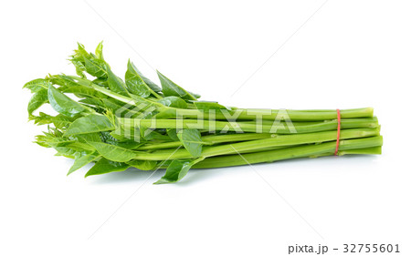 Malabar spinach or Ceylon spinach isolated Malabar spinach or Ceylon spinach isolated 32755601