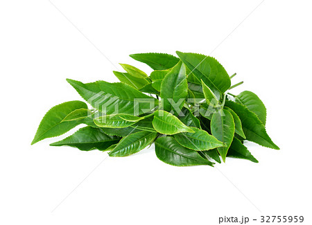 green tea leaf isolated on white background 32755959